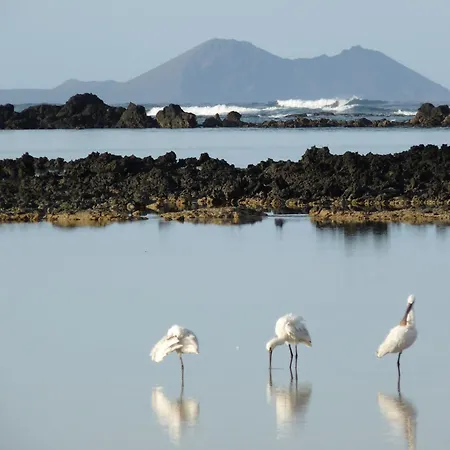 Casa Ana Y El Mar - Enamorados Del Mar - En Lanzarote Vakantiehuis Teguise (Lanzarote)