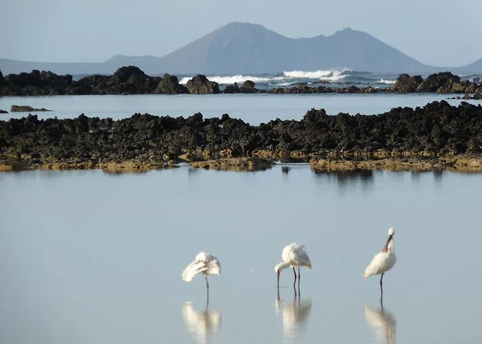Casa Ana Y El Mar - Enamorados Del Mar - En Lanzarote بيت للعطل تيغيسي